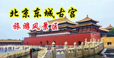 夜夜草研究院成人中国北京-东城古宫旅游风景区